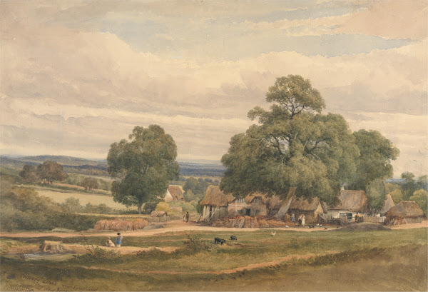 Emerey Down near Lyndhurst New Forest Hants