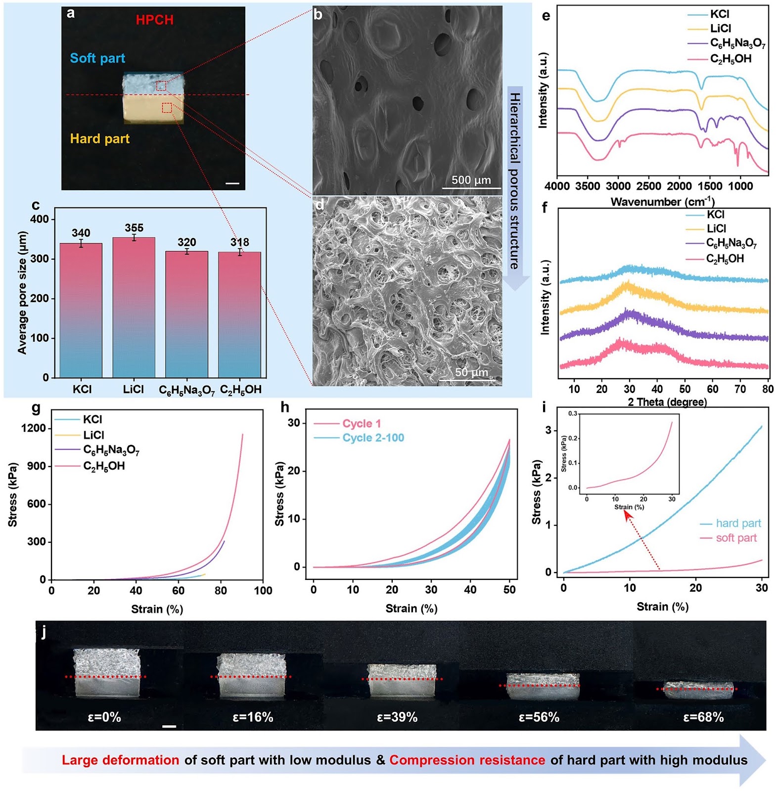 Boosting Sensitivity of Cellulose Pressure Sensor via Hierarchically Porous Structure