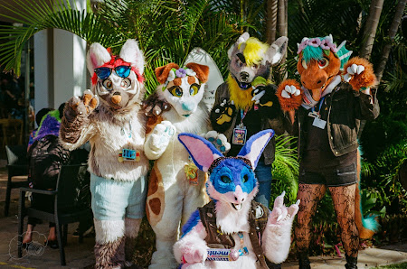 furdu-9-3.jpg