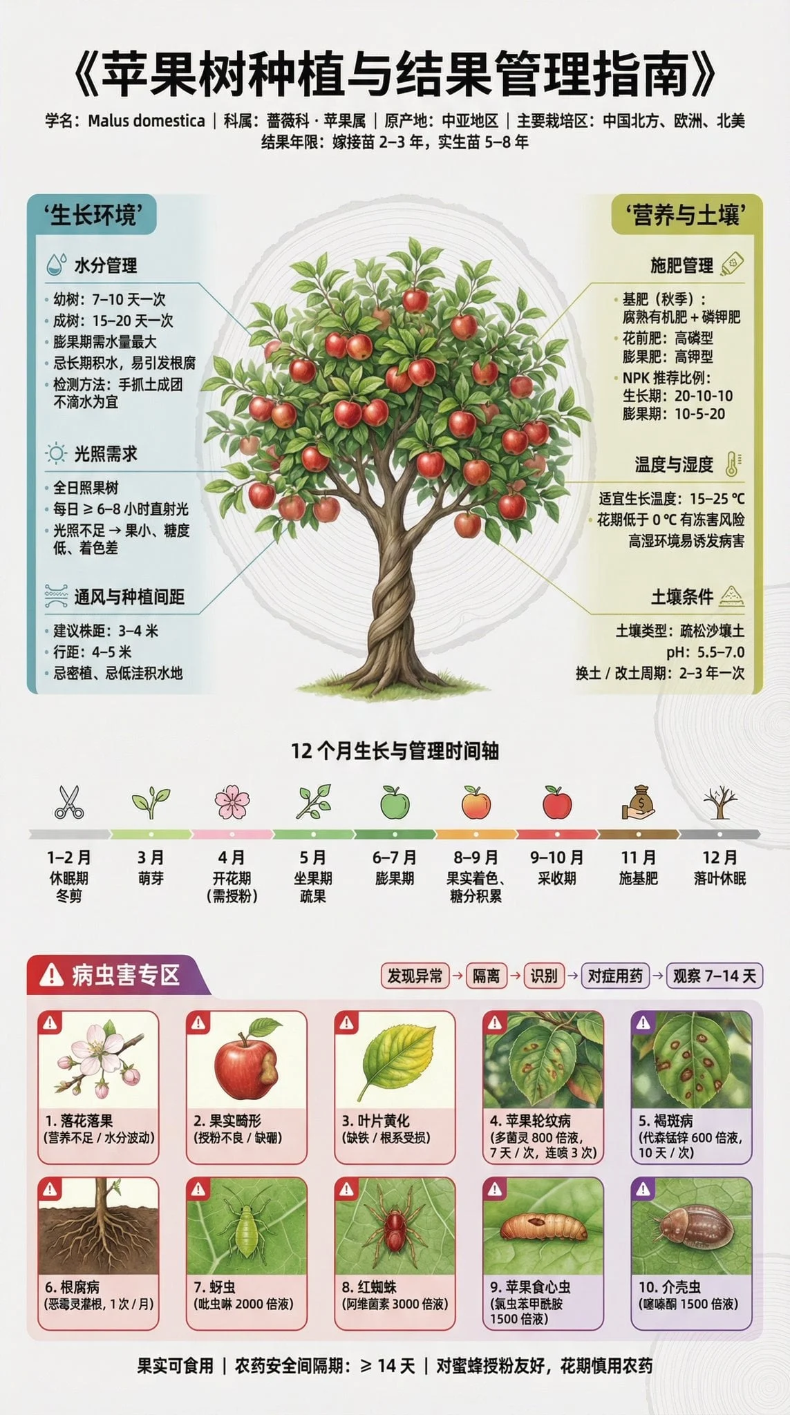 Panel informativo para la divulgación científica del cultivo de árboles frutales | Formato vertical 3:4 | Diseño de información de nivel museístico 【Título principal】 "Guía para el cultivo y manejo de la fructificación de árboles frutales" Fuente: Diseño mixto Source Han Sans / Source Han SimSun, que garantiza una representación clara de los caracteres chinos 【Subtítulo】 Nombre científico · Familia y género · Origen · Principales zonas de cultivo · Años de fructificación...
