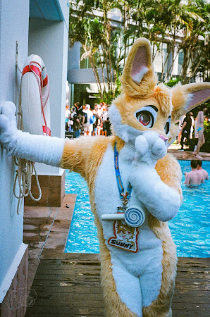 furdu-22.jpg