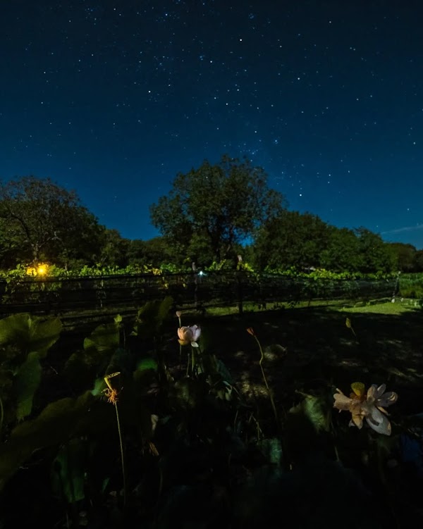 Astro Bodegas: Un Maridaje Perfecto