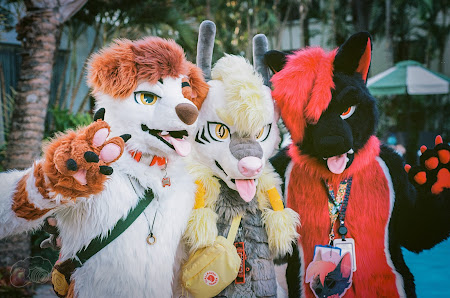 furdu-15.jpg