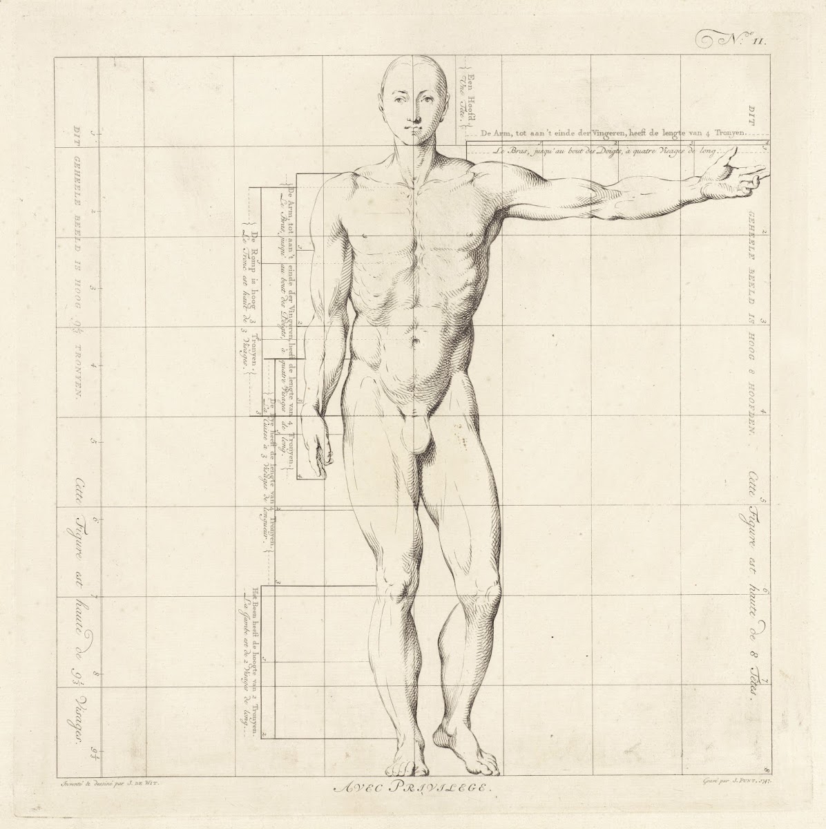 Proportional study of a mans body 1747