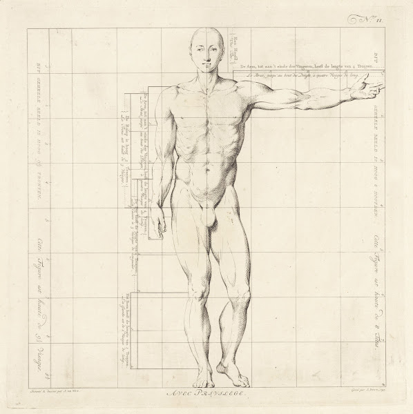 Proportional study of a mans body 1747