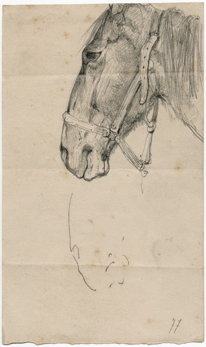 Horses head 1877
