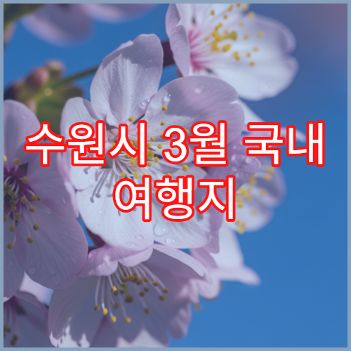 수원시 3월 국내 여행지 화성행궁 수원천 벚꽃 명소 BEST 5