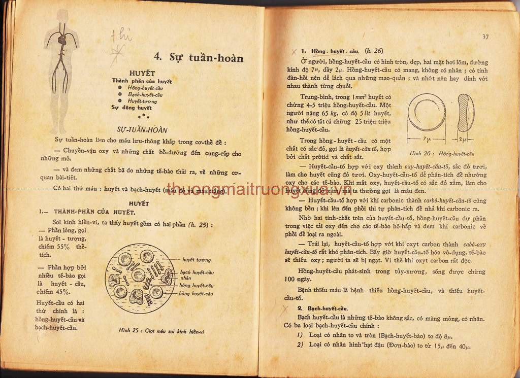 Tập san : Mực tím (số 108 - Xuân 1994) - Trang 20