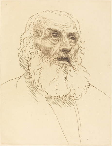 Study of an Old Man Etude de vieillard