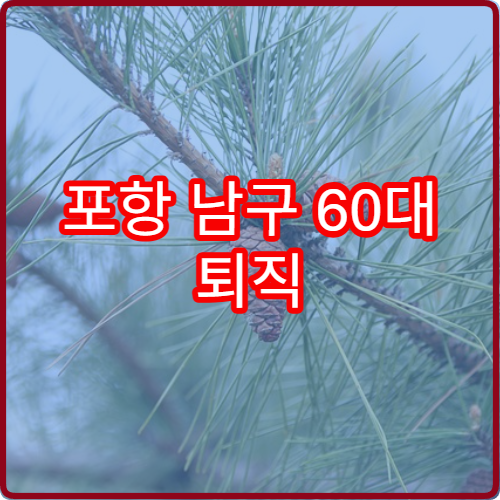 포항 남구 60대 퇴직 후 2026 기본연금 신청 완벽 가이드
