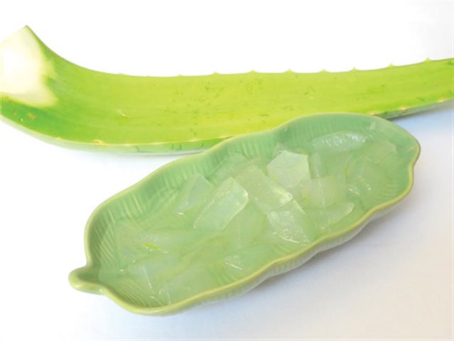 Nước Nha Đam Đường Phèn