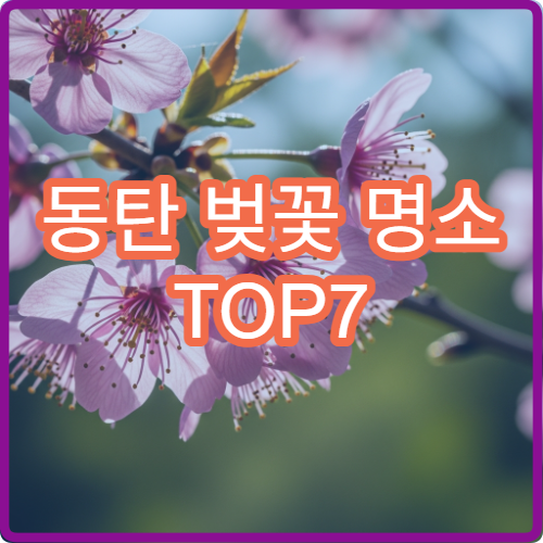 동탄 벚꽃 명소 TOP7 (+사진 찍기 좋은 위치까지 정리)
