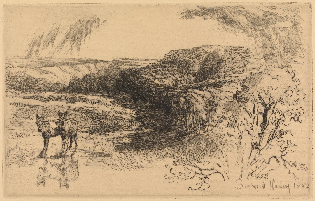 Encombe Woods no 2 1881 1882