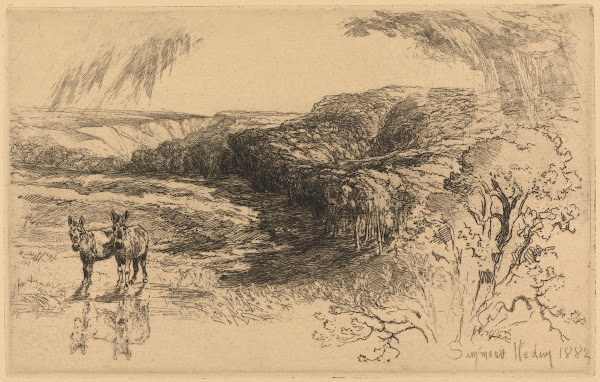 Encombe Woods no 2 1881 1882