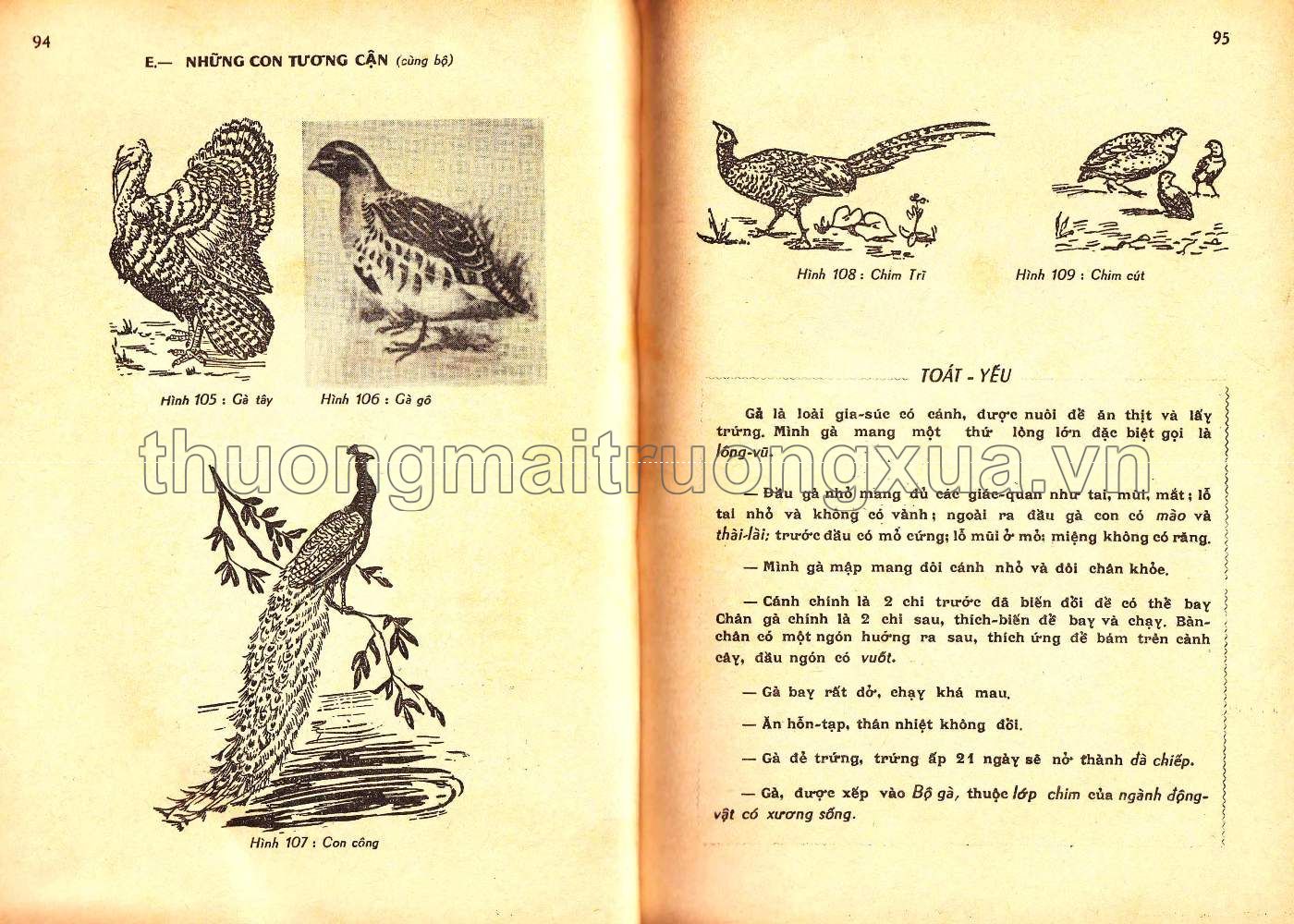 Vạn vật học lớp 6 (1974) (1) - Trang 47