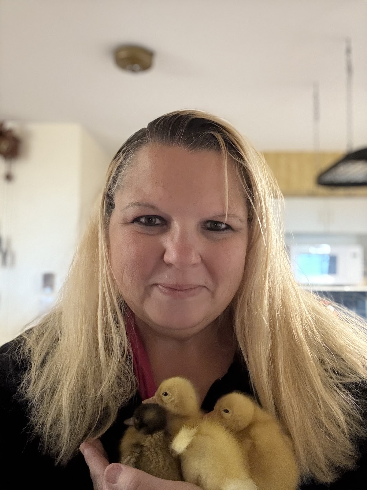 Jumbo Pekin Duckling, Welsh Harlequin Duckling