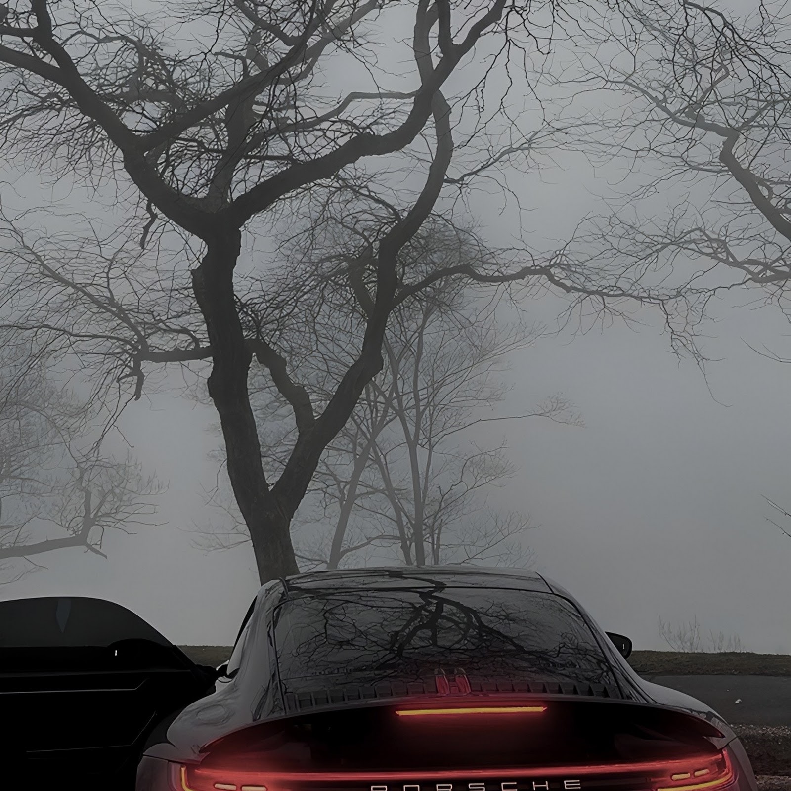 Download Porsche 911 Carrera in Fog Full HD iPhone