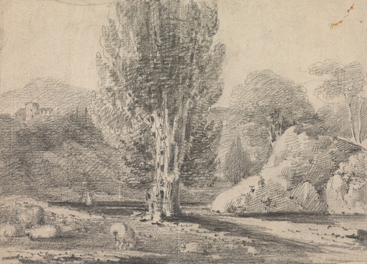 Landscape Study with Tall Tree and Sheep
