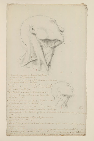 Cahiers dAnatomie Pl07 18th Century
