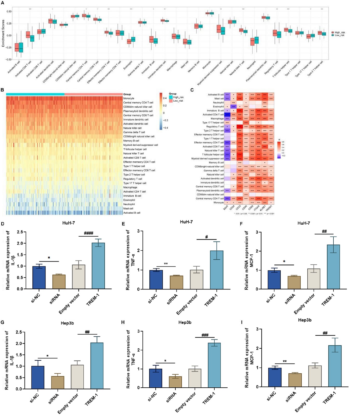 Single-cell and bulk transcriptome analysis unveils a ligand-receptor-based signature for prognostication and reveals that TREM1 controls the malignant behaviors of hepatocellular carcinoma