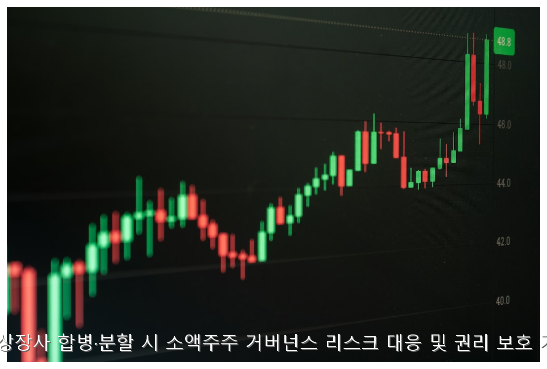 국내 상장사 합병·분할 시 소액주주 거버넌스 리스크 대응 및 권리 보호 가이드 핵심 안내 및 분석 인포그래픽 (3)