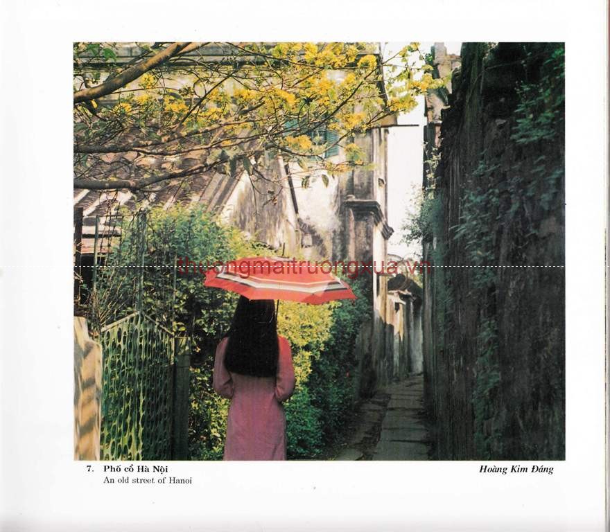 Tập san : Mực tím (số 67 - 1992) - Trang 13