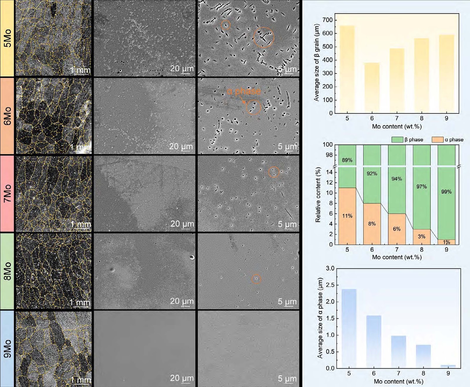 Titanium alloy with synergistic enhancement of strength and toughness based on molybdenum equivalent design: Microstructure evolution and strengthening-toughening mechanism