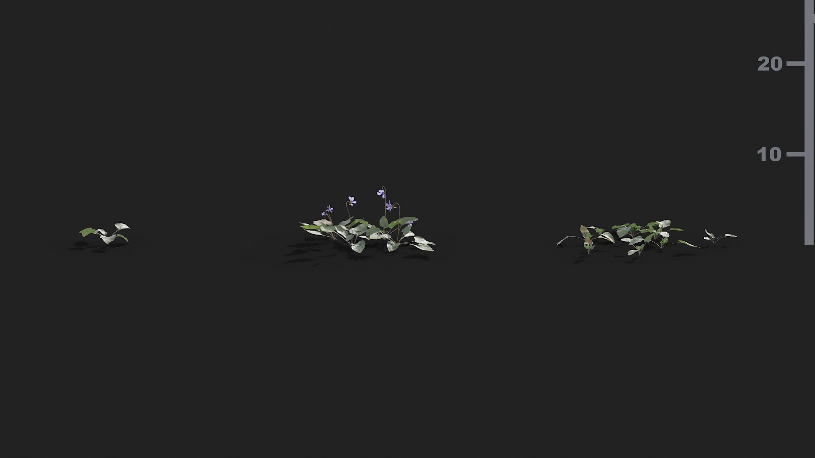 Maxtree - Plant Models Vol.21