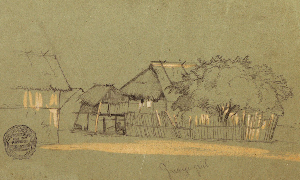 Street with Houses Guayaquil Ecuador 1857