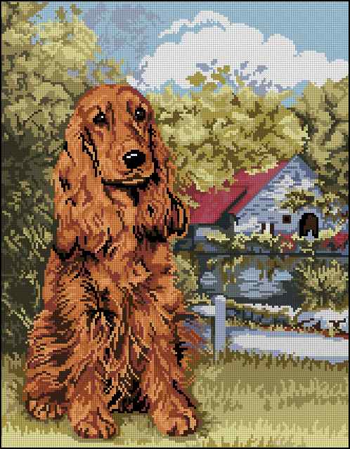 CMP 400196 Spaniel On The Background Of Nature