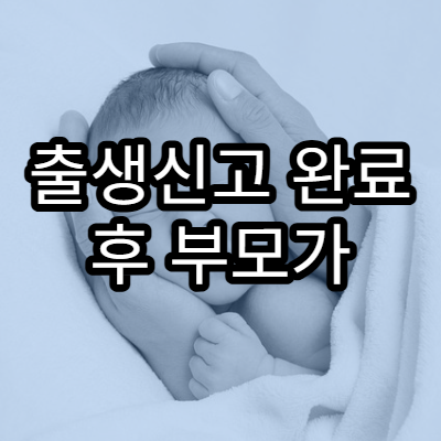 출생신고 완료 후 부모가 추가로 해야 할 행정 절차