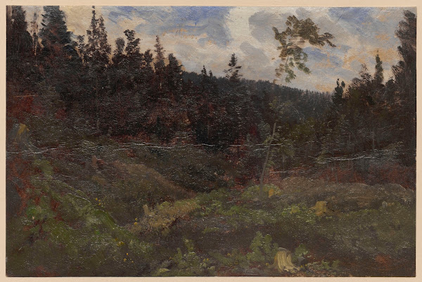 Clearing 1850 1881
