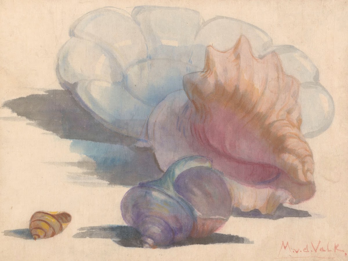 Drie schelpen bij een Delftse plooischotel 1867   1935
