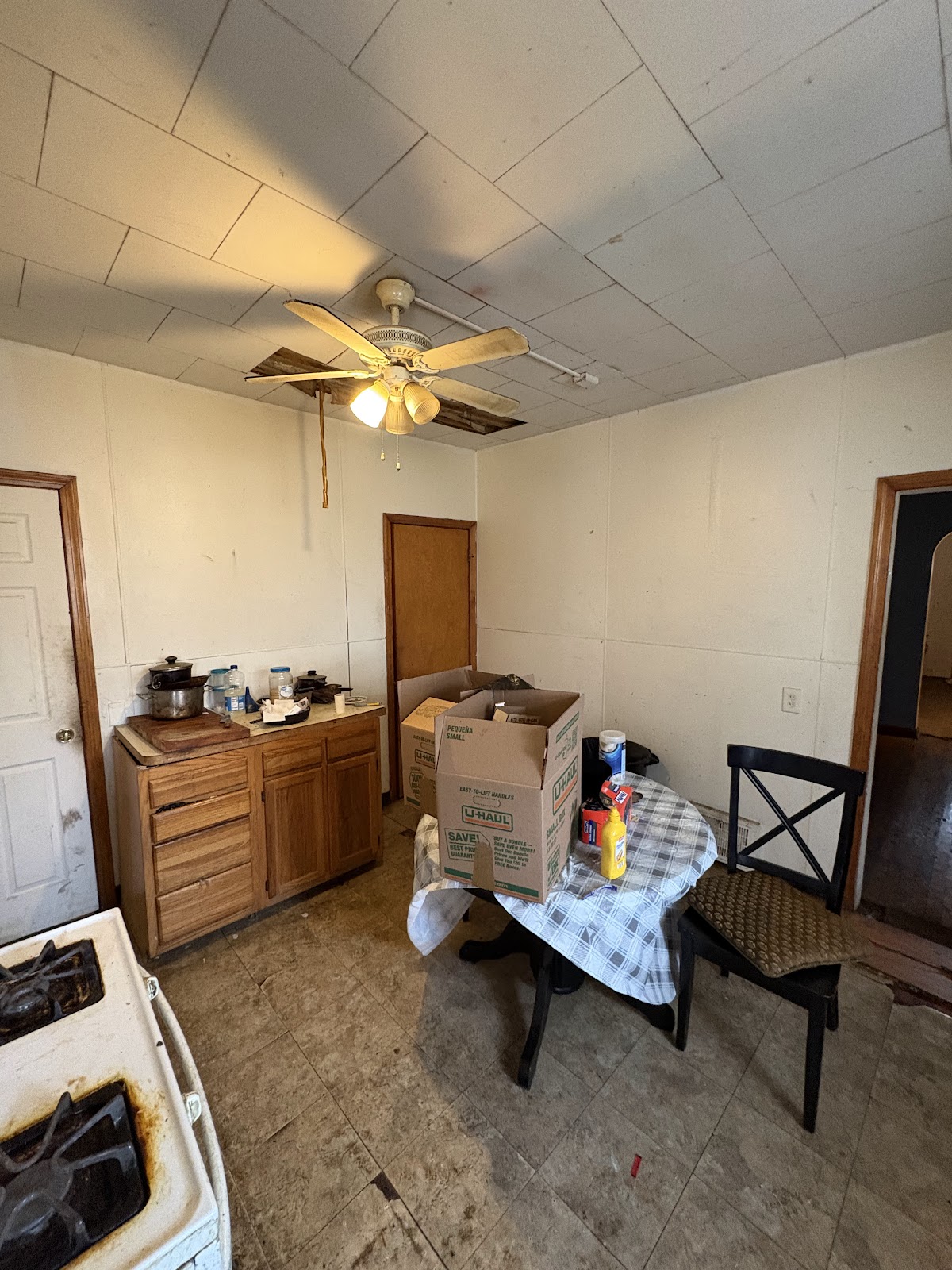 Copy of IMG_7525.HEIC