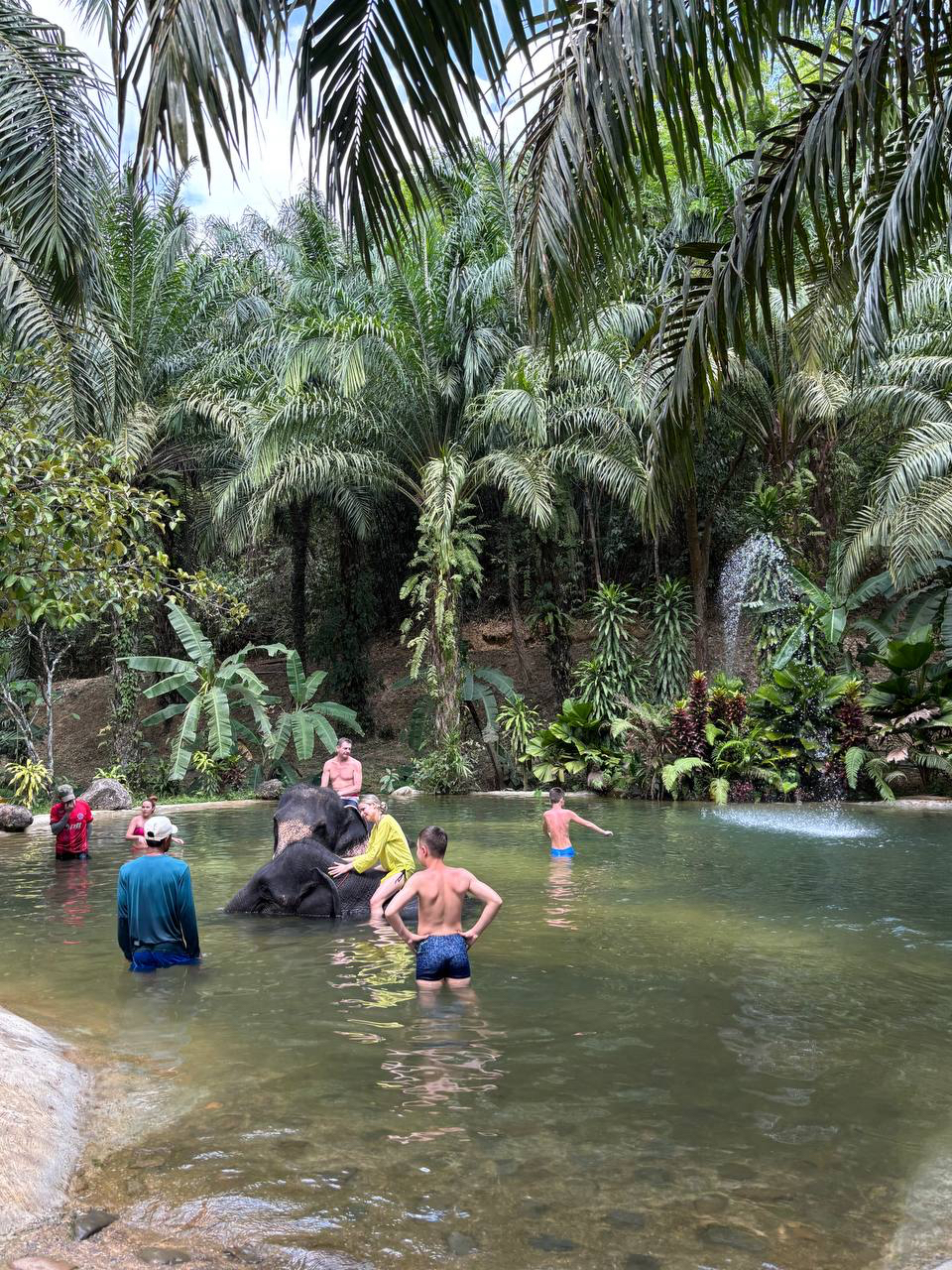 Приватный · RAFTING + ELEPHANT SPA (1-DAY TRIP) 4