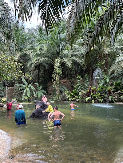 Приватный · RAFTING + ELEPHANT SPA (1-DAY TRIP) photo 4