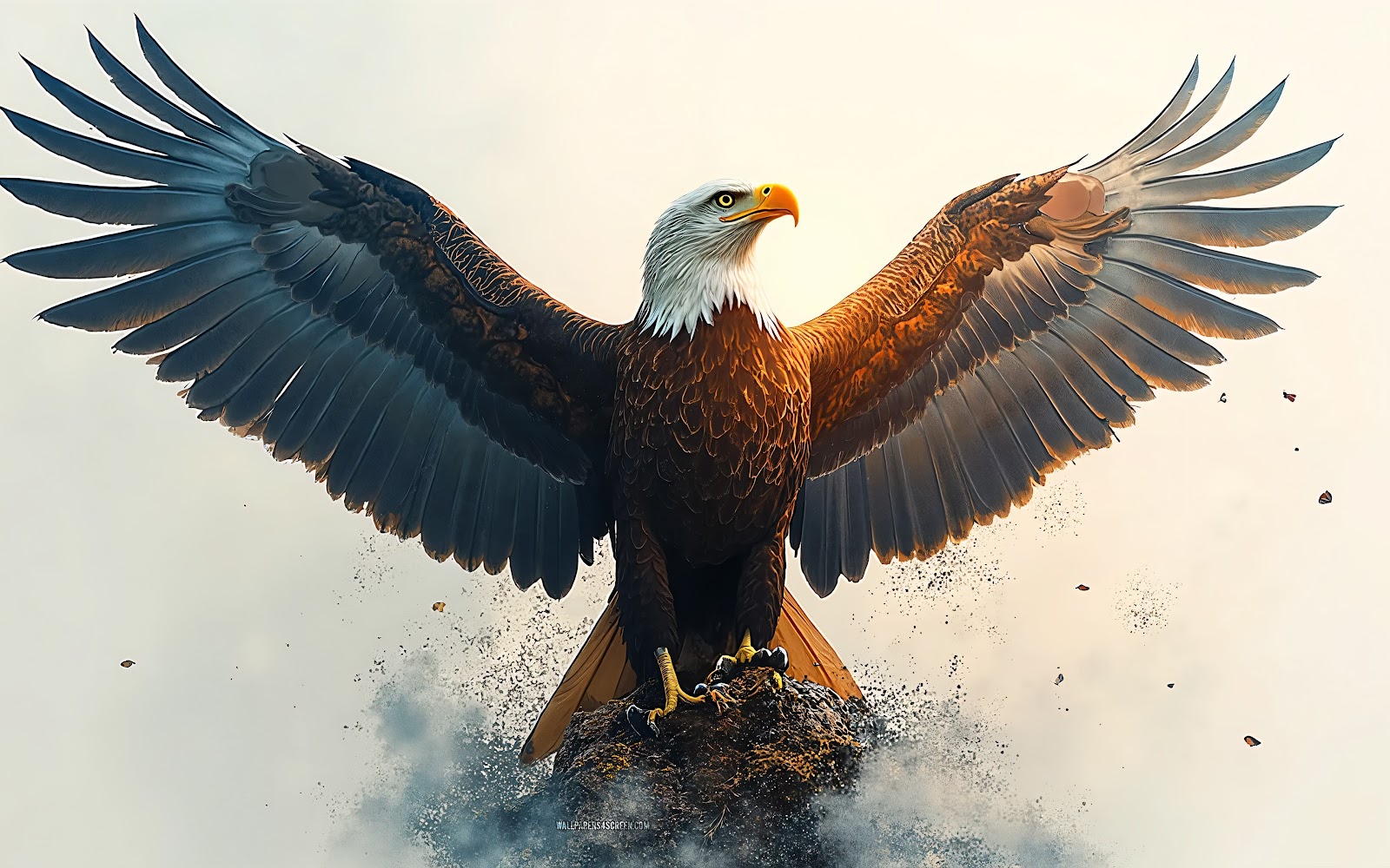 Eagle With Open Wings Wallpaper