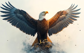 Eagle With Open Wings Wallpaper