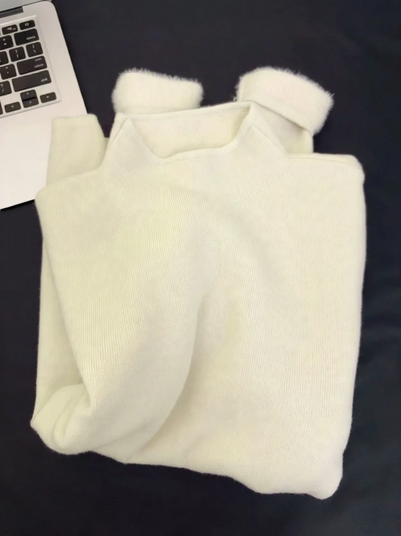 Simple women's pullover with stand-up collar, lined