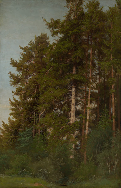 Tannen und Unterholz ca 1860