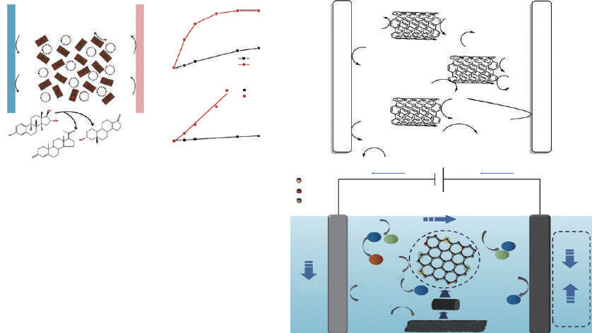 The use of carbon-based particle electrodes in three-dimensional electrode reactors for wastewater treatment