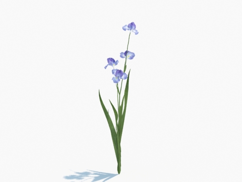 Maxtree - Plant Models Vol.3