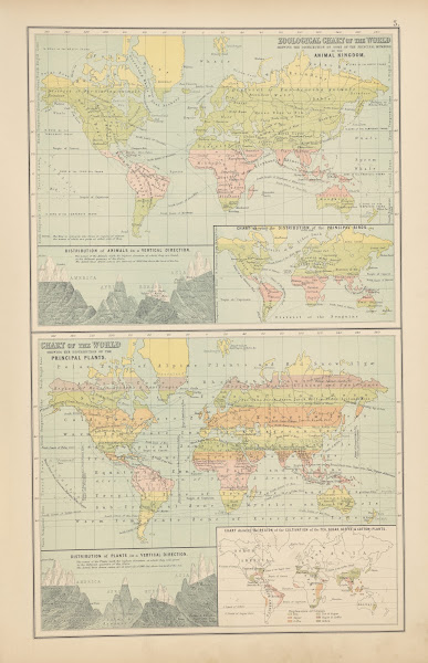 Zoological Chart Of The World Shewing The Distribution Of Some Of The Principal