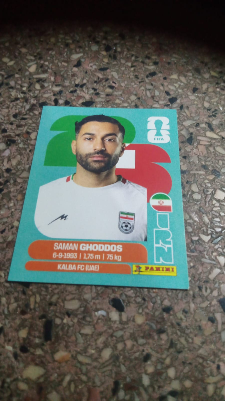 Saman Ghoddos
