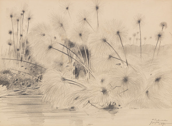 In den Papyrussümpfen am Jipe See zwischen Tansania und Kenia 1891