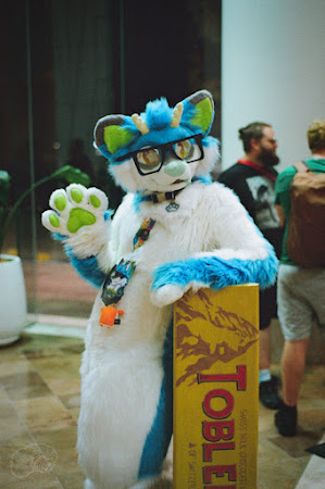 furdu2025-23.jpg