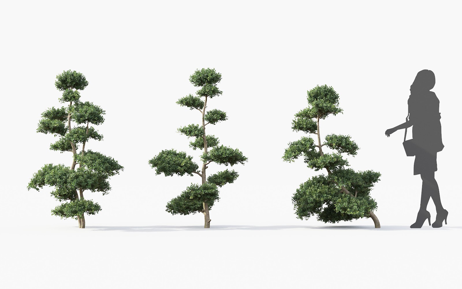 Maxtree - Plant Models Vol.28