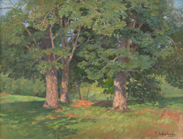 Therese Schachner