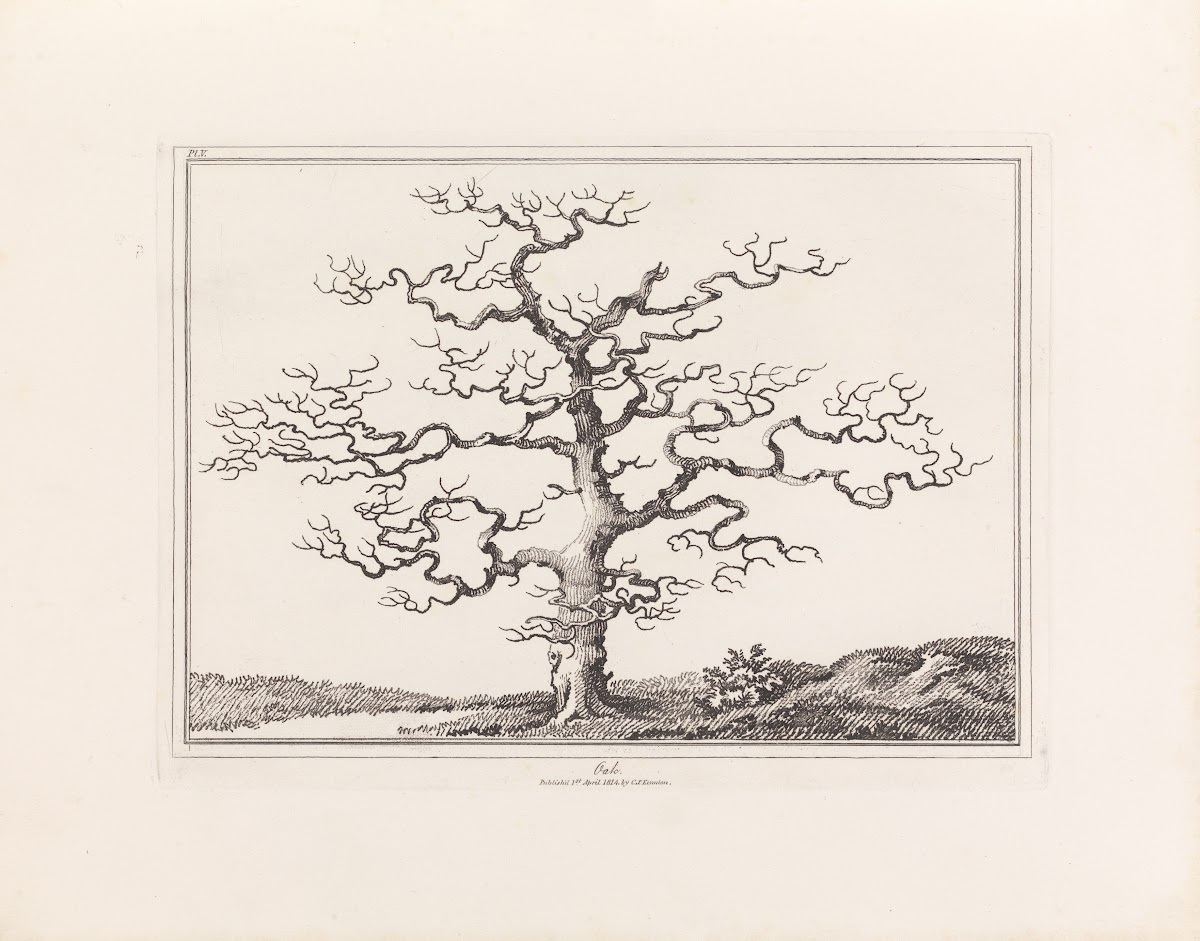 An Essay On Trees In Landscape 1844
