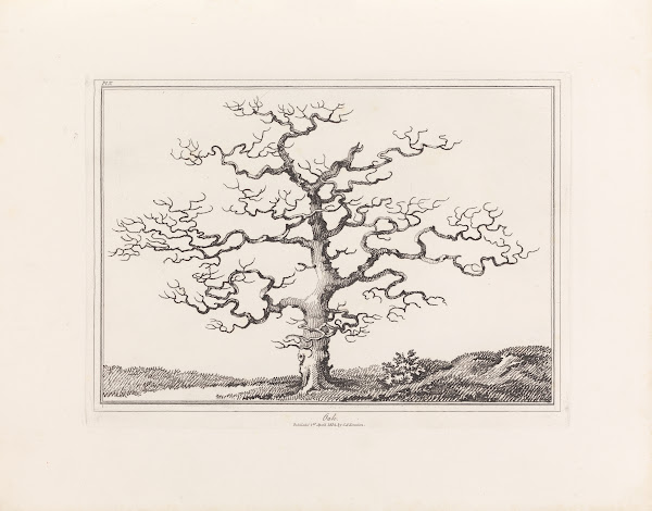 An Essay On Trees In Landscape 1844